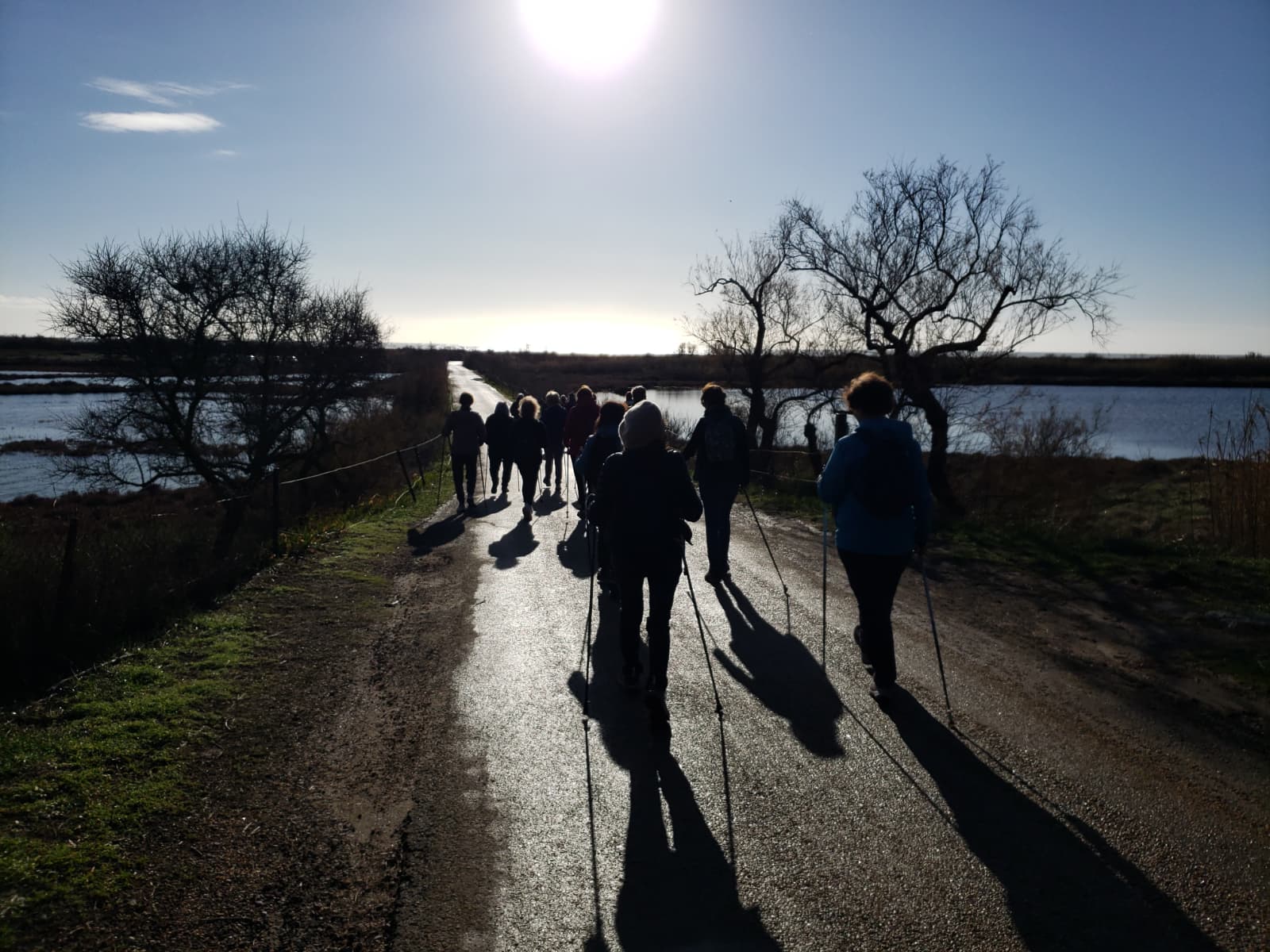 Forme et Santé (Marche Nordique, PPG, Stretching)